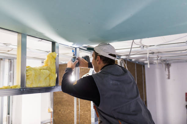 Best Commercial Insulation in Wheatland, CA